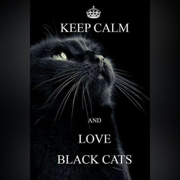 - $3 BLACK CAT STUD EARRINGS. STAINLESS STEEL. NEW. $3 if bundled - Picture 8 of 16